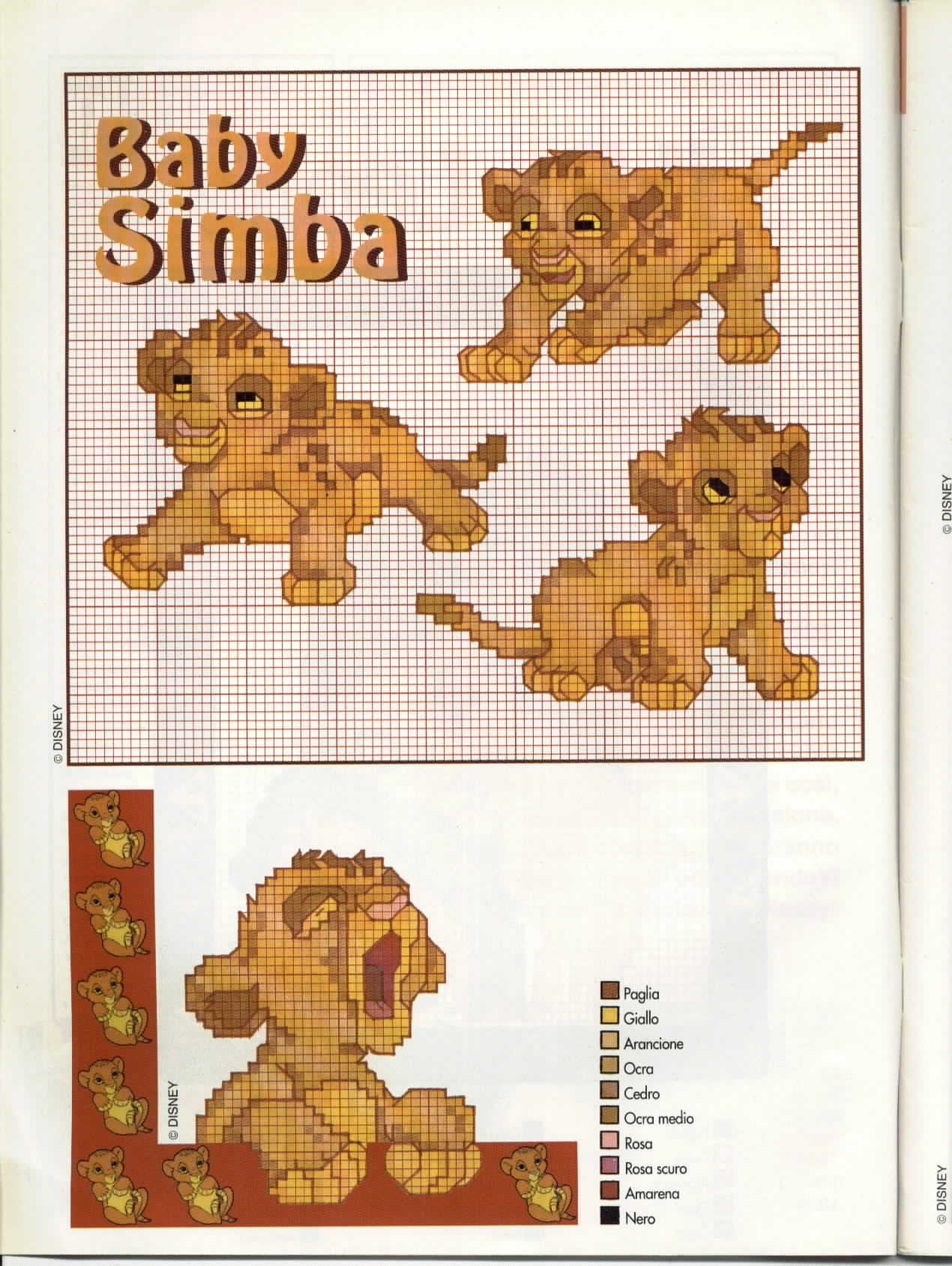 Baby Simba de il re leone