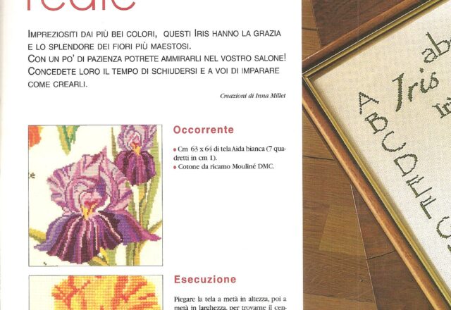 Sampler a punto croce con bellissimi fiori iris (1)