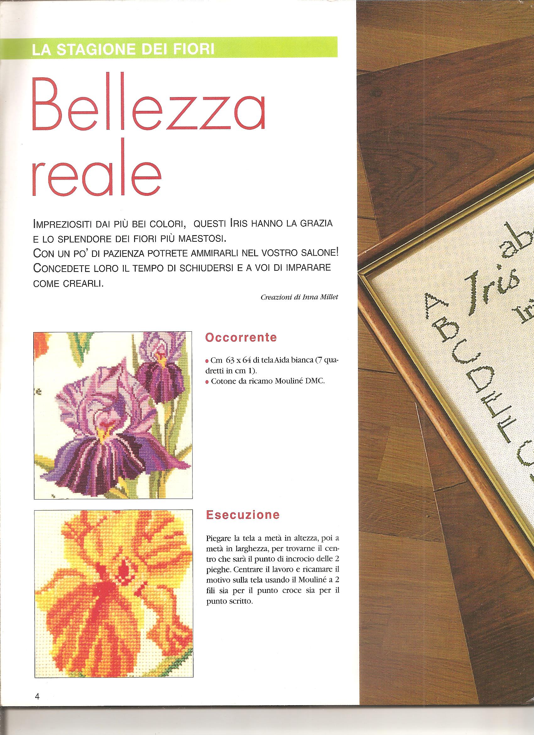 Sampler a punto croce con bellissimi fiori iris (1)