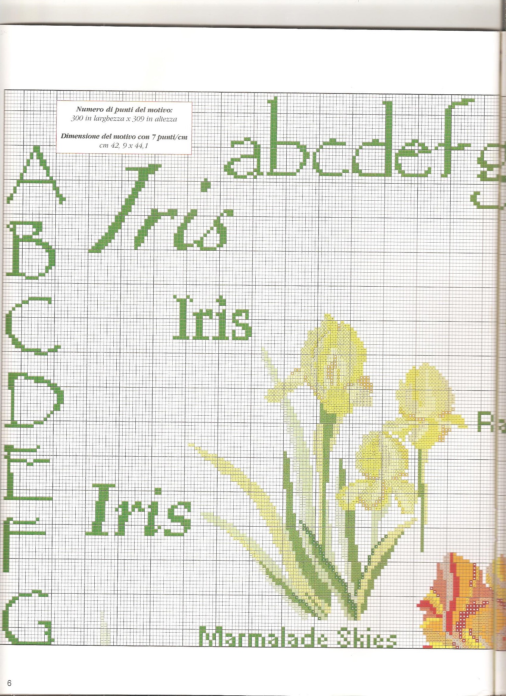 Sampler a punto croce con bellissimi fiori iris (3)