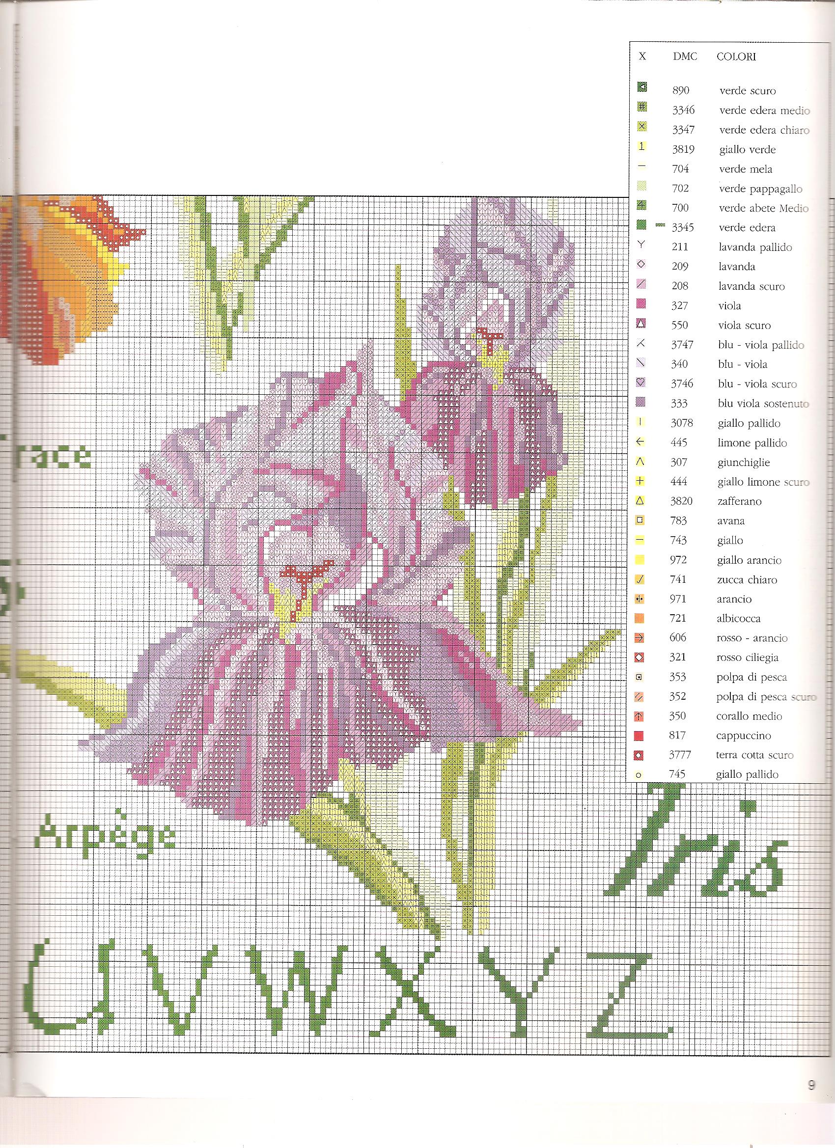 Sampler a punto croce con bellissimi fiori iris (6)