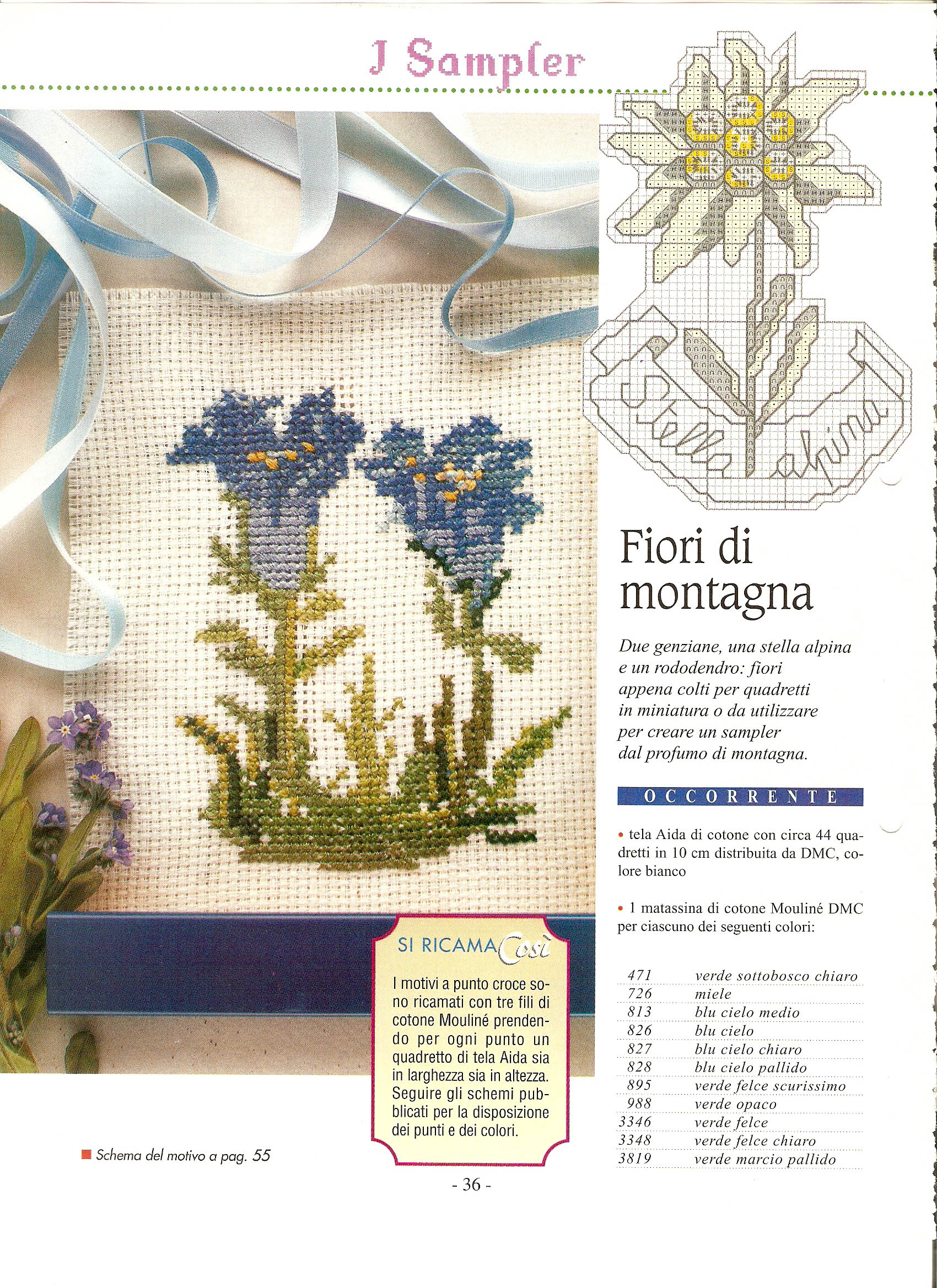 Sampler fiori di montagna (1)