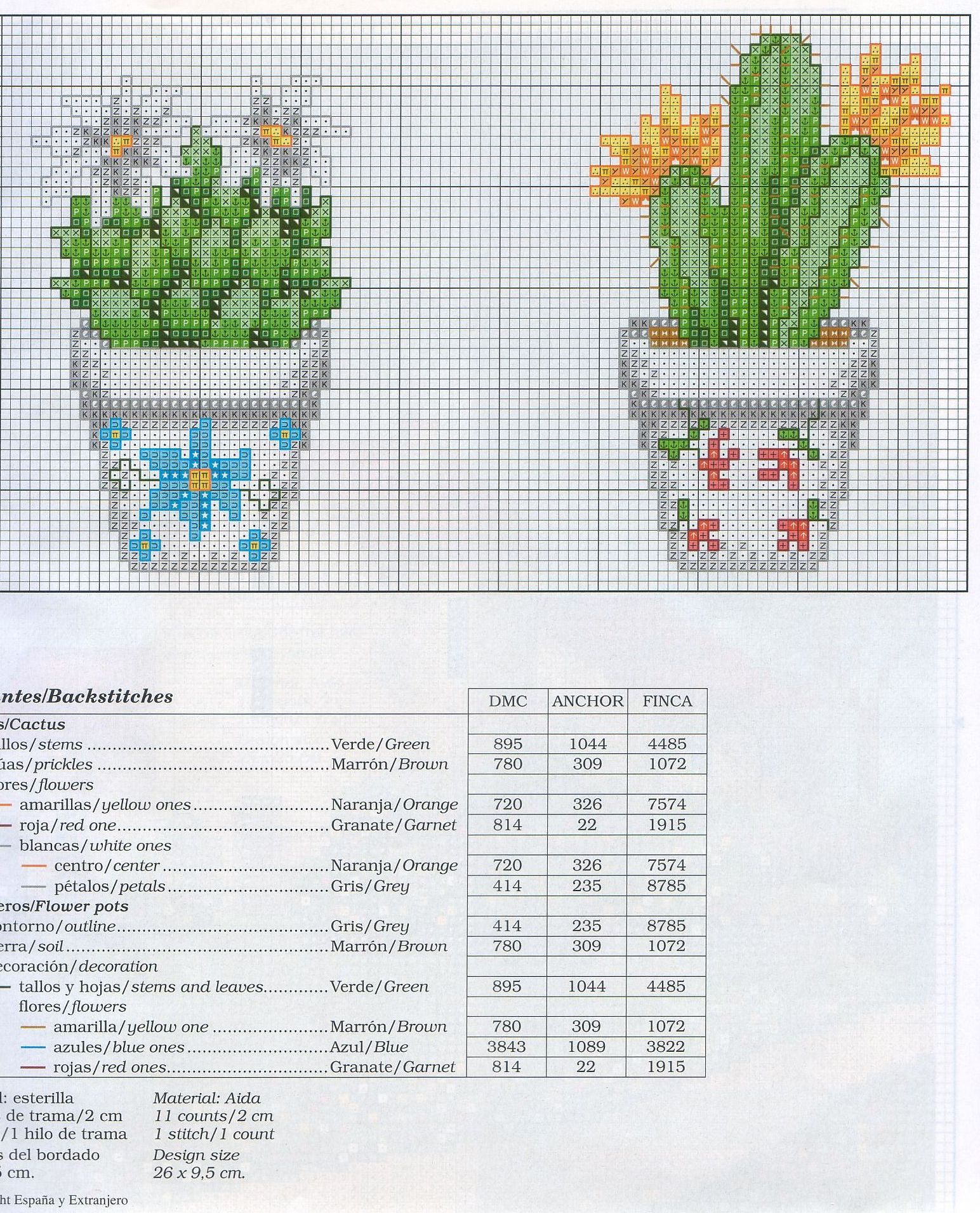 Vasetti piante grasse cactus fiori colorati (1)