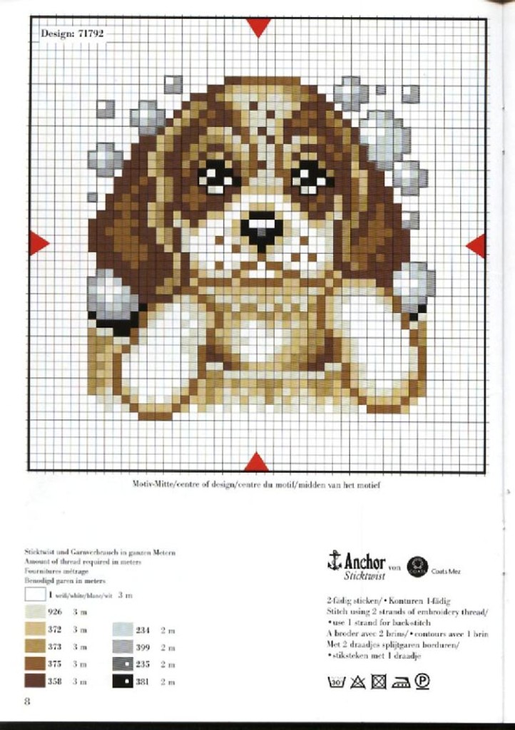 animali cane bagnetto