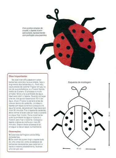 applicazione coccinella (1)