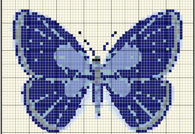 bellissima farfalla blu azzurra
