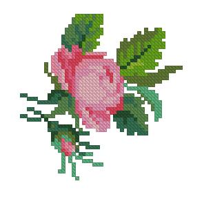 bocciolo di rosa (1)