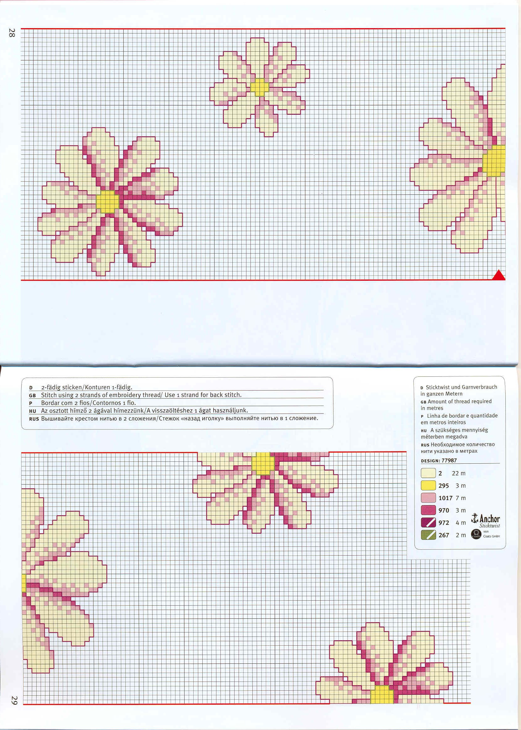 bordure margherite rosa