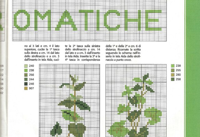 erbe aromatiche miste (2)