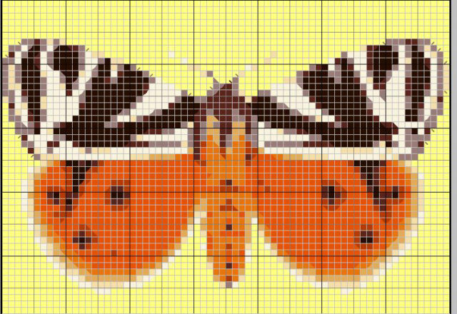farfalla punto croce zebrata e arancio