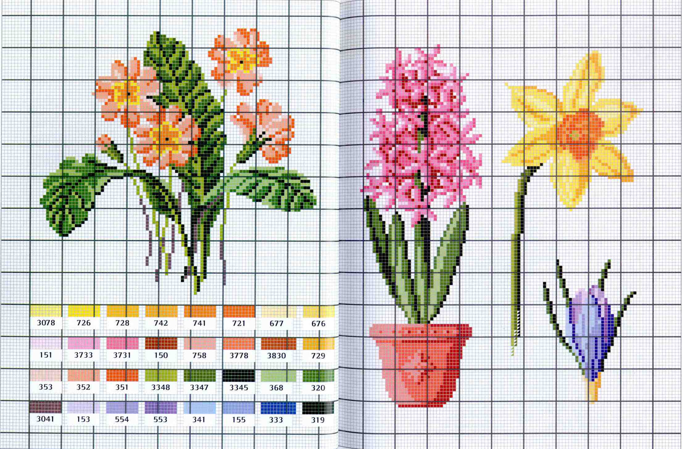 fiori narciso giacinto