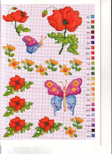 fiori papaveri farfalla