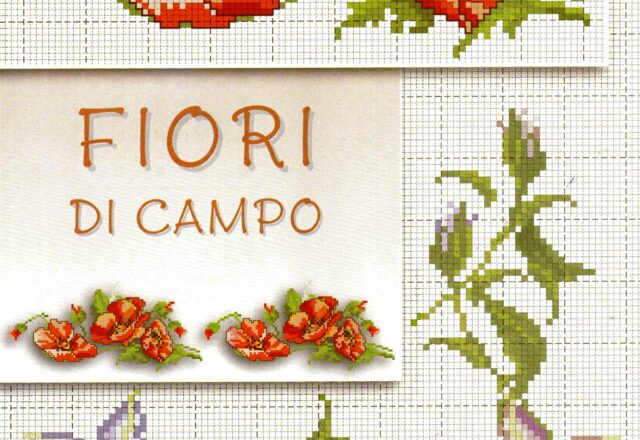 fiori papaveri gigli