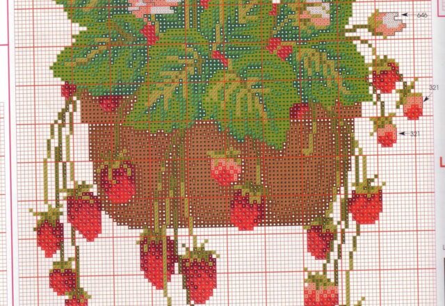 frutta fragole in vaso