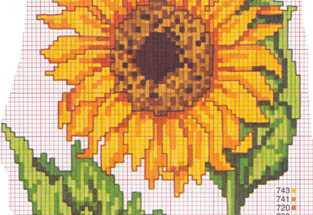 girasole grande schema
