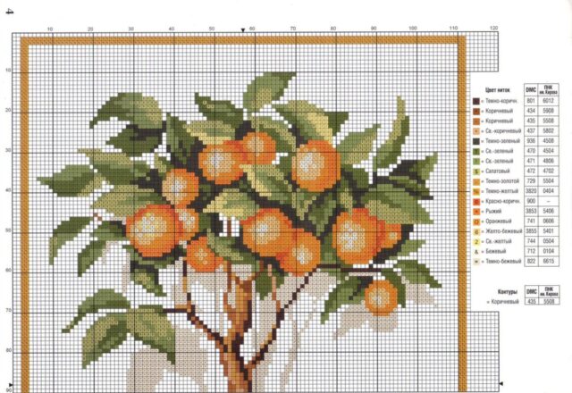 pianta di arance schema (1)