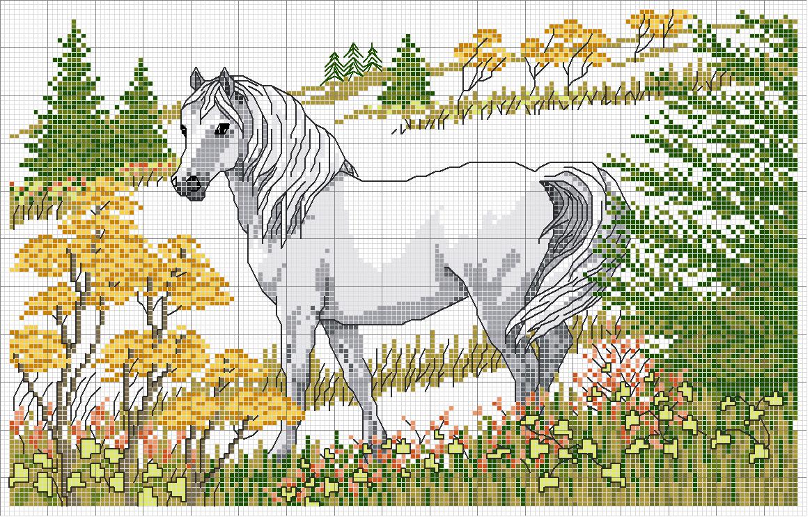 schema di un cavallo bianco nella prateria