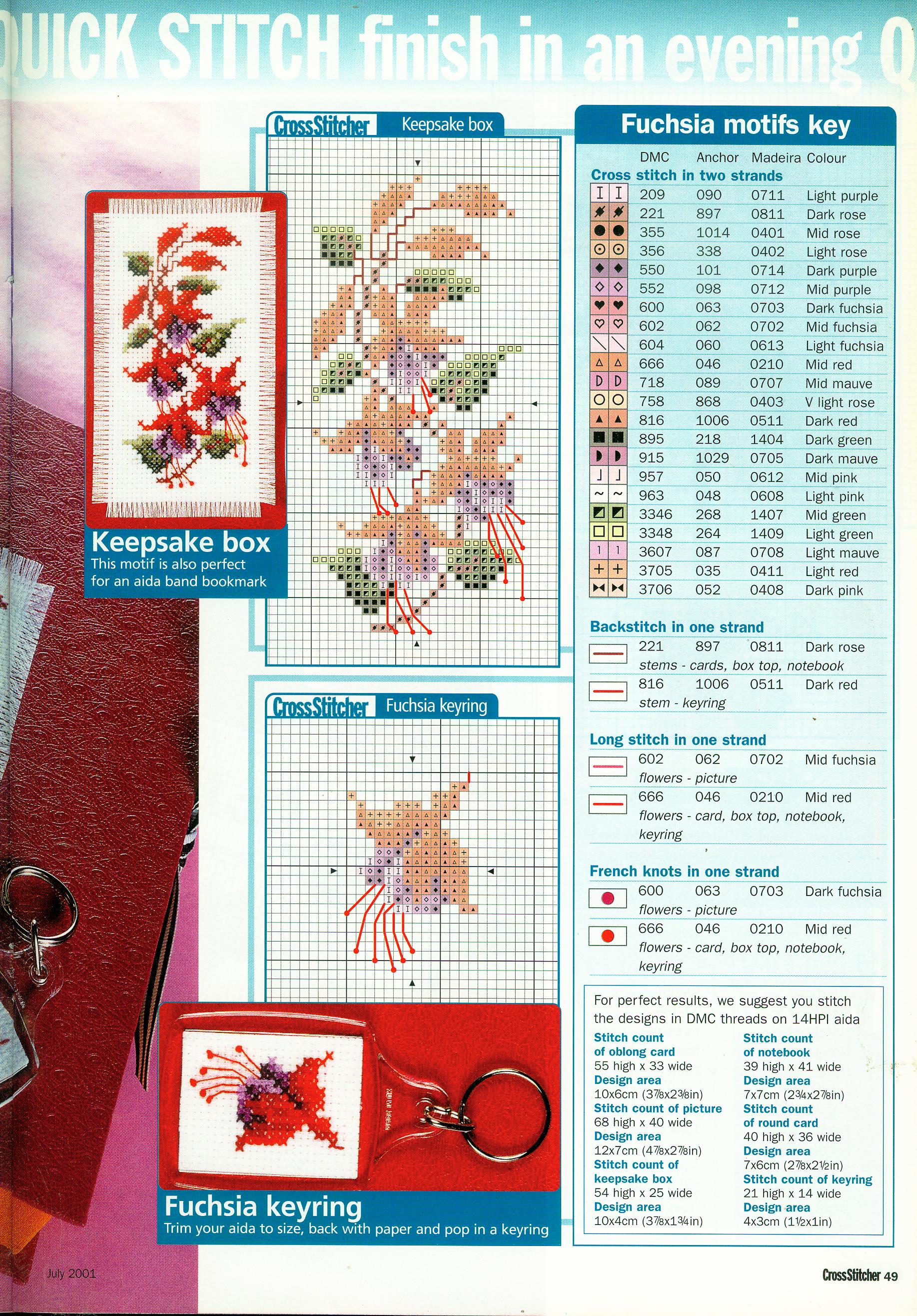 schemi punto croce vari dei fiori Fuchsia (2)