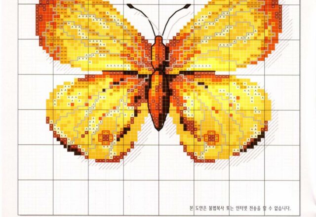 stupenda farfalla giallo e arancio