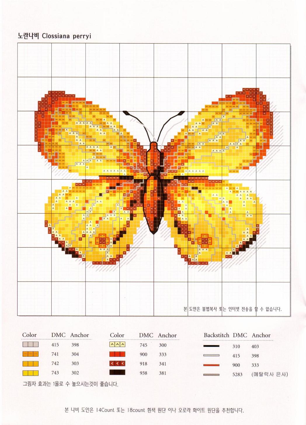 stupenda farfalla giallo e arancio