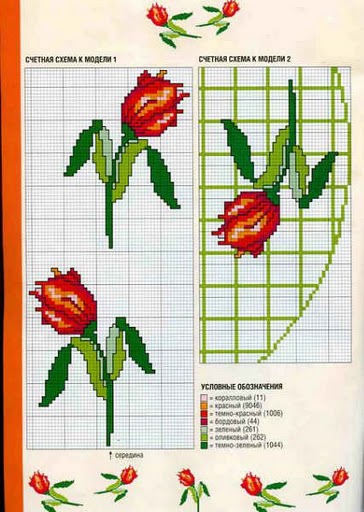 tulipani bordo verticale