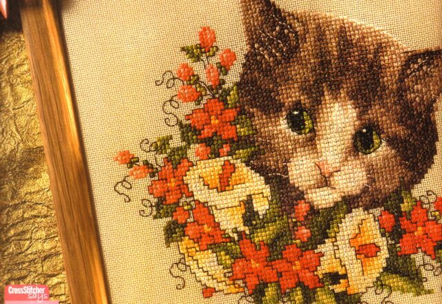 viso di gatto tenero tra i fiori (1)