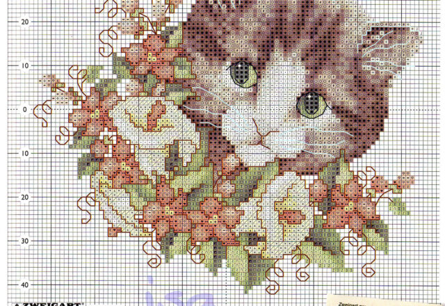 viso di gatto tenero tra i fiori (2)